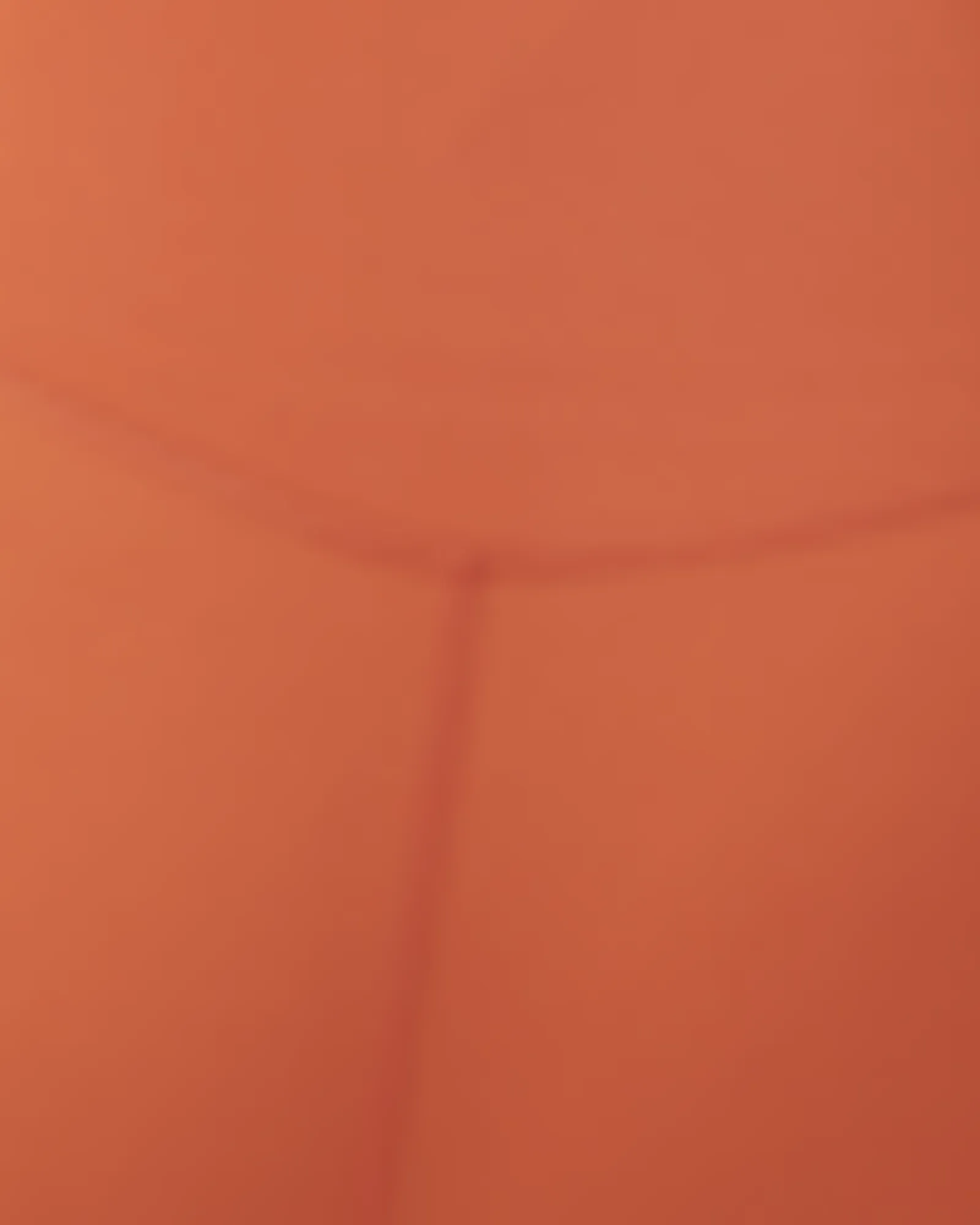 Gerlinde Sports Bra | Orange